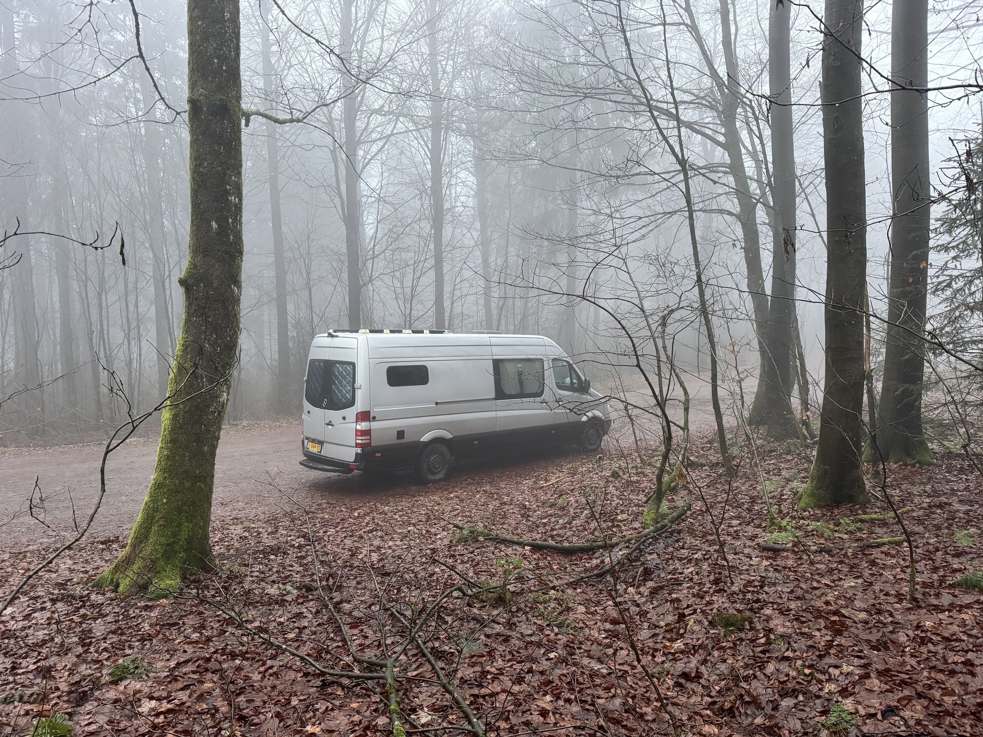 STAN geparkeerd in een mistig bos